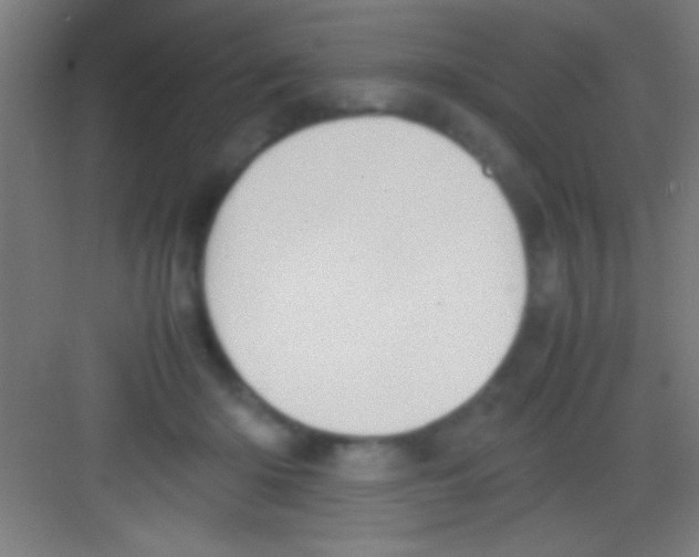 X0000081270414200702081932