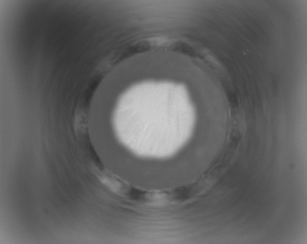 X0000081270419200702081932