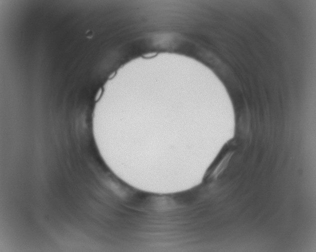 X0000081270424200702081932