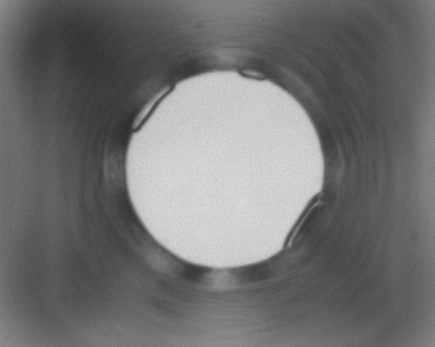 X0000081270425200702081932