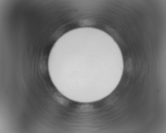X0000081270426200702081932