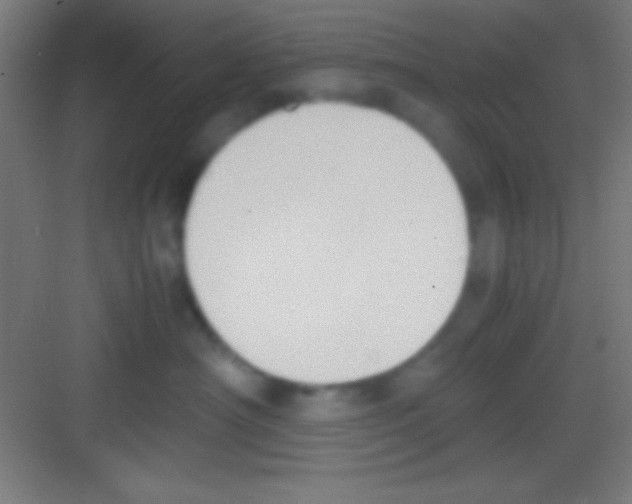 X0000081270430200702081932