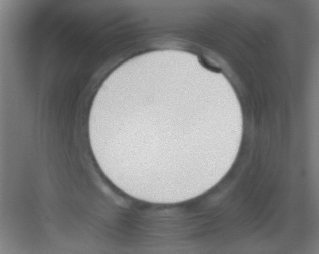 X0000081270433200702081931