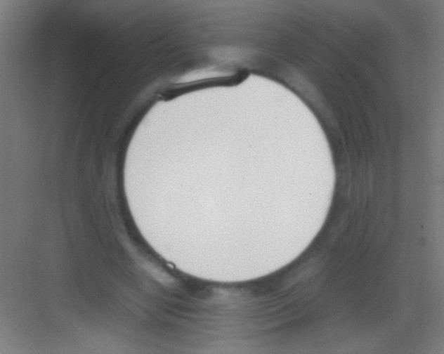 X0000081270442200702081931