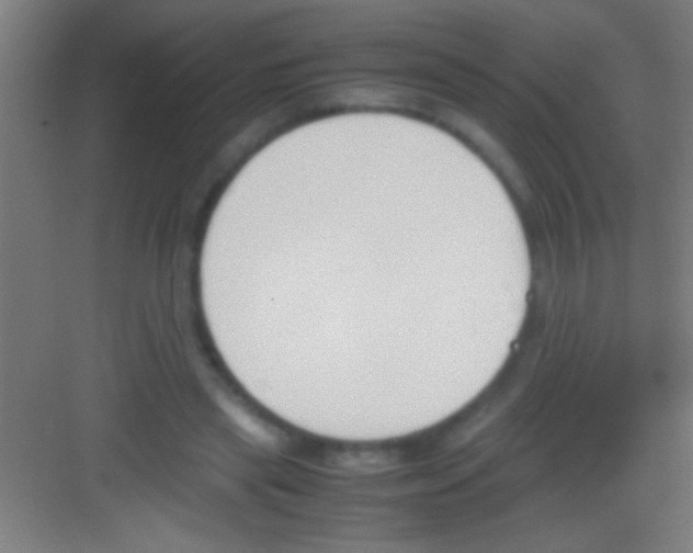 X0000081270445200702081931