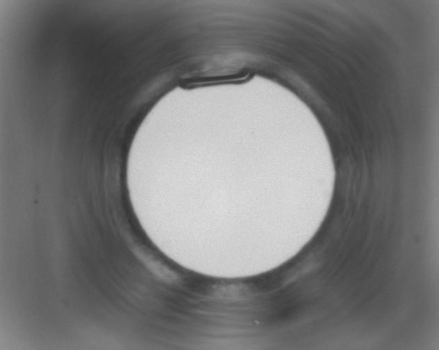 X0000081270446200702081931