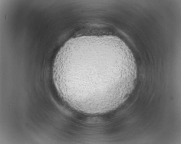 X0000081270451200702081931