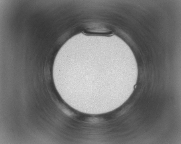 X0000081270453200702081931