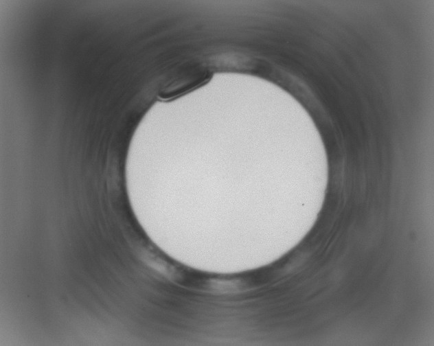 X0000081270457200702081931