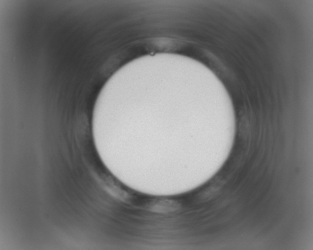 X0000081270459200702081931