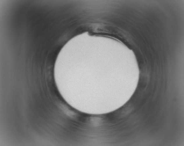 X0000081270462200702081931