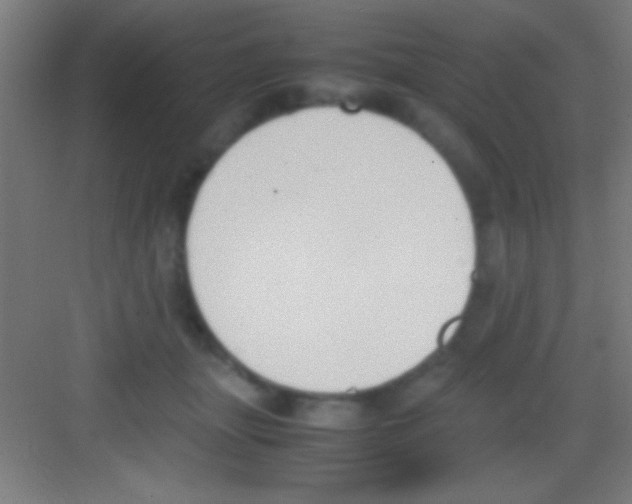 X0000081270463200702081931
