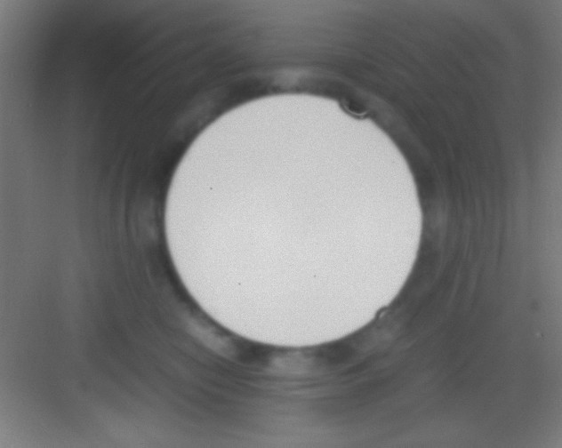 X0000081270470200702081931