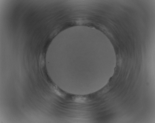 X0000081270471200702081931