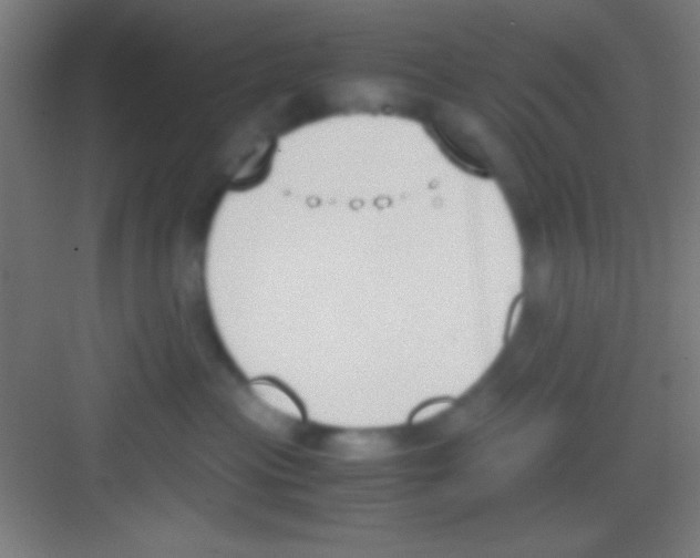 X0000081270477200702081931