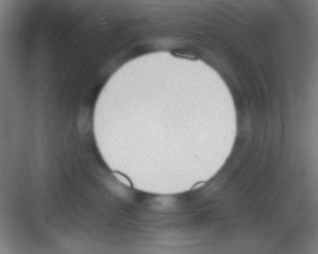 X0000081270478200702081931