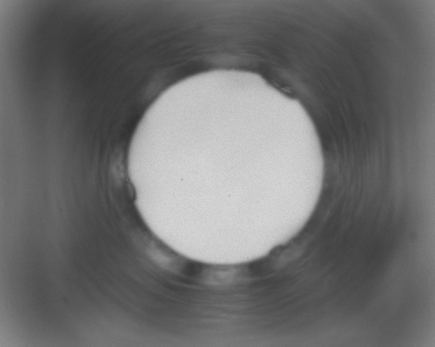 X0000081270479200702081931