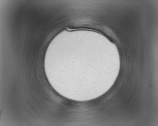 X0000081270481200702081931