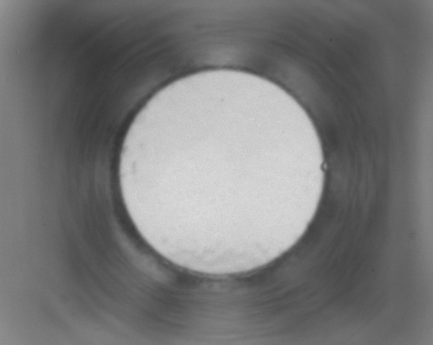 X0000081270482200702081931