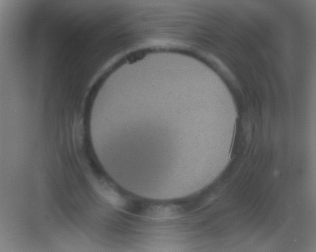 X0000081270488200702081931