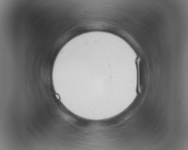 X0000081270489200702081931