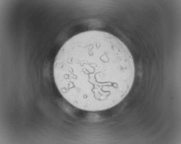 X0000081270519200702081930