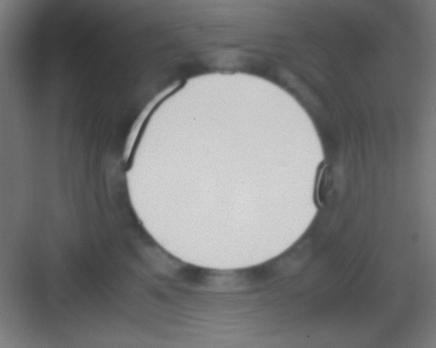 X0000081270521200702081930