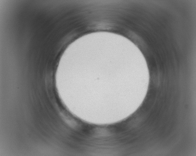 X0000081270534200702081929