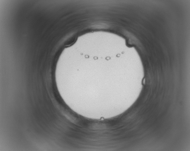 X0000081270535200702081929