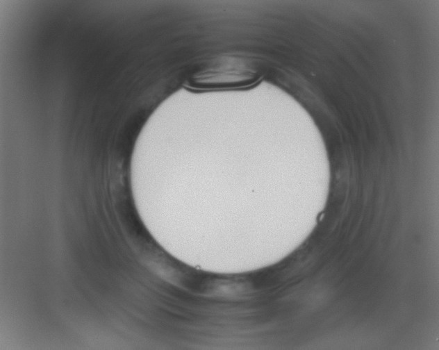 X0000081270555200702081930