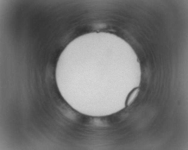 X0000081270565200702081930