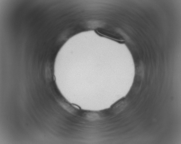 X0000081270572200702081930