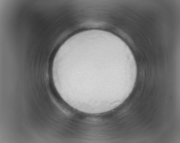 X0000081270582200702081929