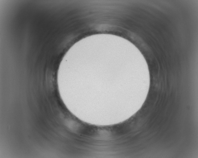 X0000081270592200702081929