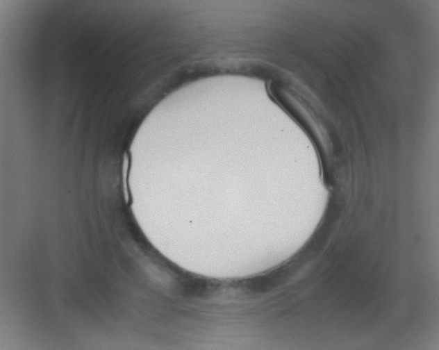 X0000081270593200702081929