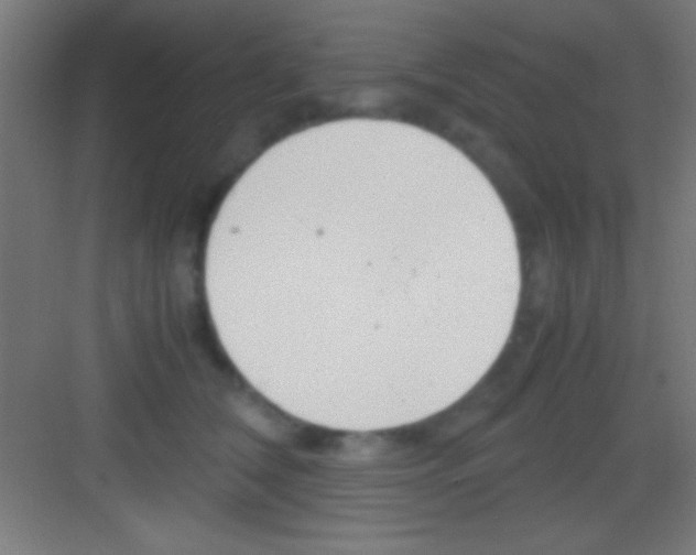 X0000081270612200702081928