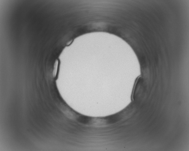 X0000081270617200702081928