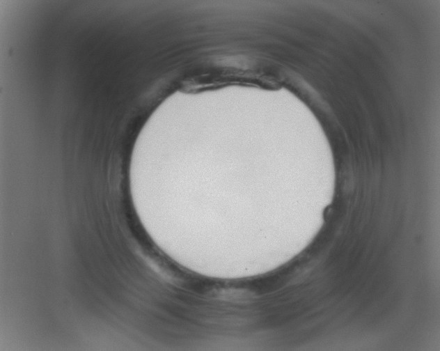 X0000081270637200702081928