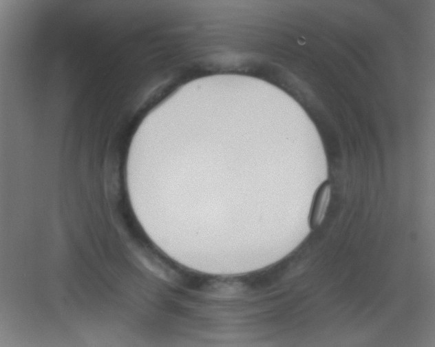X0000081270642200702081928