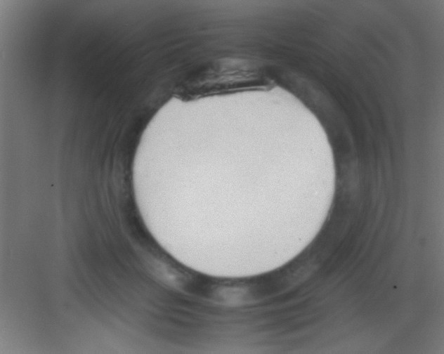 X0000081270653200702081928