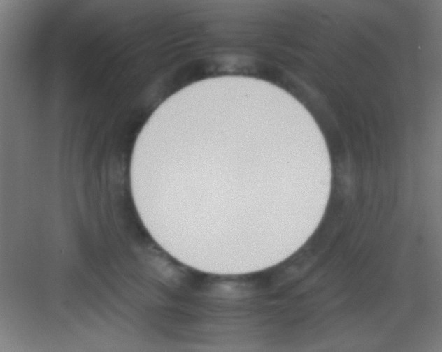 X0000081270657200702081928