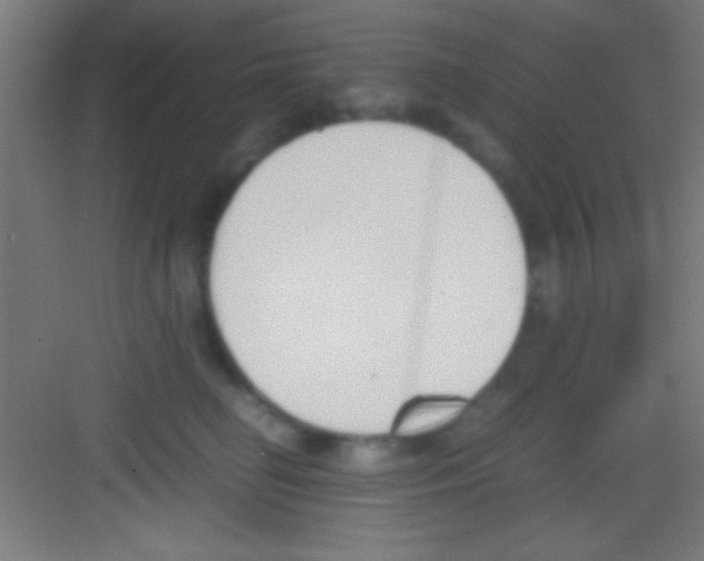 X0000081270662200702081928