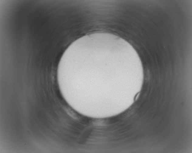 X0000081270664200702081928