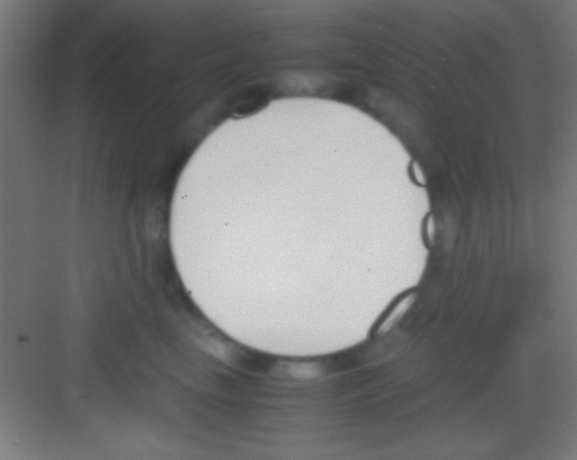 X0000081270665200702081928