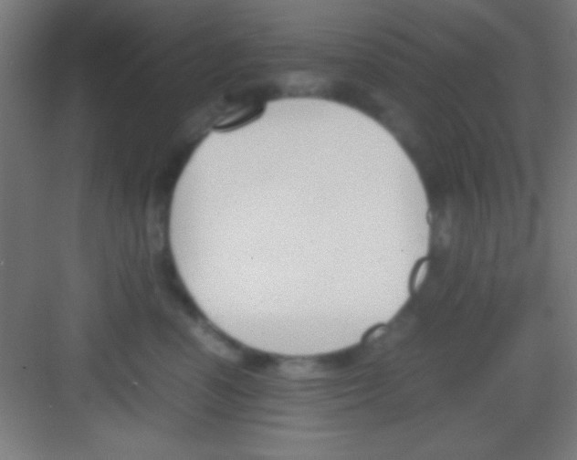 X0000081270666200702081928