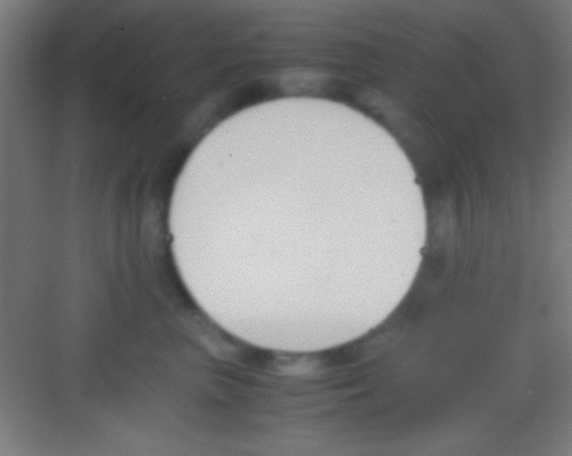 X0000081270667200702081928