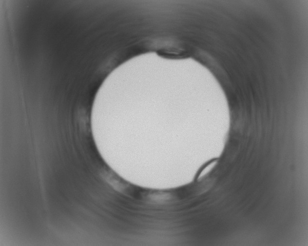 X0000081270669200702081928