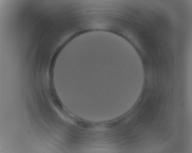 X0000081270674200702081927