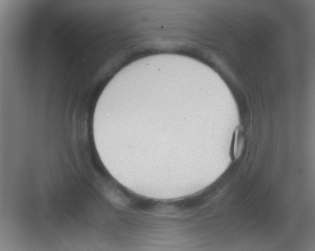 X0000081270685200702081927
