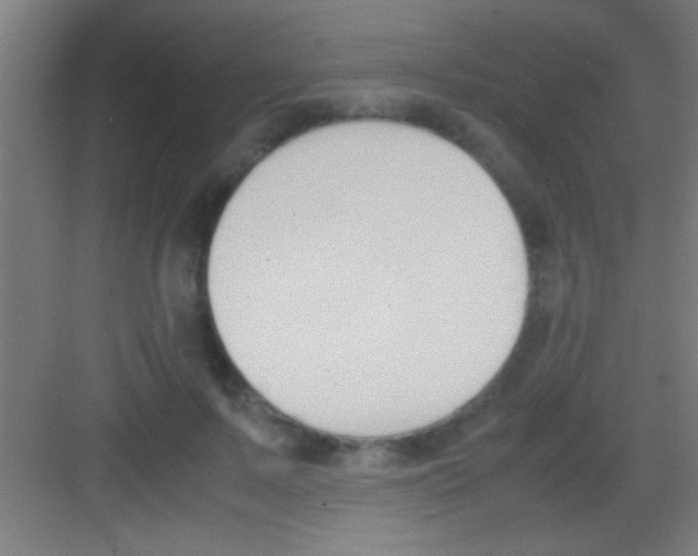 X0000081270695200702081927